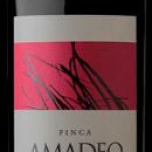 amadeo-malbec-750ml_1_1200.jpg