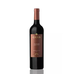 cadus-tupungato-appellation-cabernet-sauvignon-750-ml_1_1200.jpg