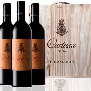 cartuxa-colheita-750ml-3gfs-cxa-madeira_1_1200.jpg