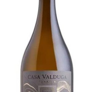 casa-valduga-chardonnay-terroir-750-ml_1_1200.jpg