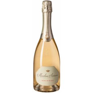 espumante-antinori-franciacorta-marchese-antinori-750-ml_1_1200.jpg