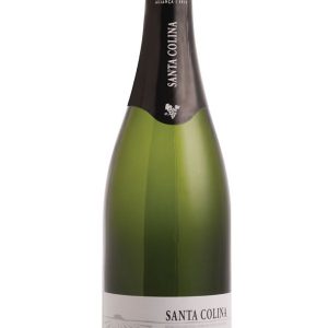 espumante-santa-colina-brut_1_1200.jpg