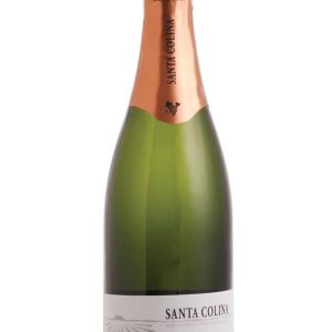 espumante-santa-colina-demi-sec_1_1200.jpg