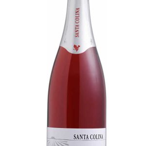 espumante-santa-colina-moscatel-rose_1_1200.jpg