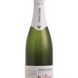 espumante-santa-colina-moscatel_1_1200.jpg