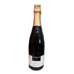 espumante-terroir-brut-750-ml_1_1200.jpg