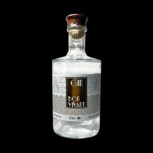 gin-bon-vivant-classico-750-ml_1_1200.jpg
