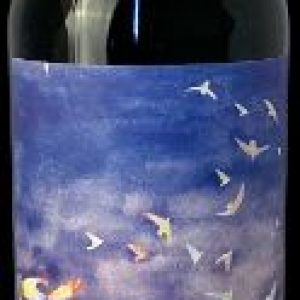 kaiken-terroir-series-cabernet-sauvignon-750-ml_1_1200.jpg