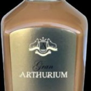 licor-gran-arthurium-cappuccino-750-ml_1_1200.jpg